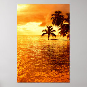 Póster Poster de puesta de sol de la palmera horizontal