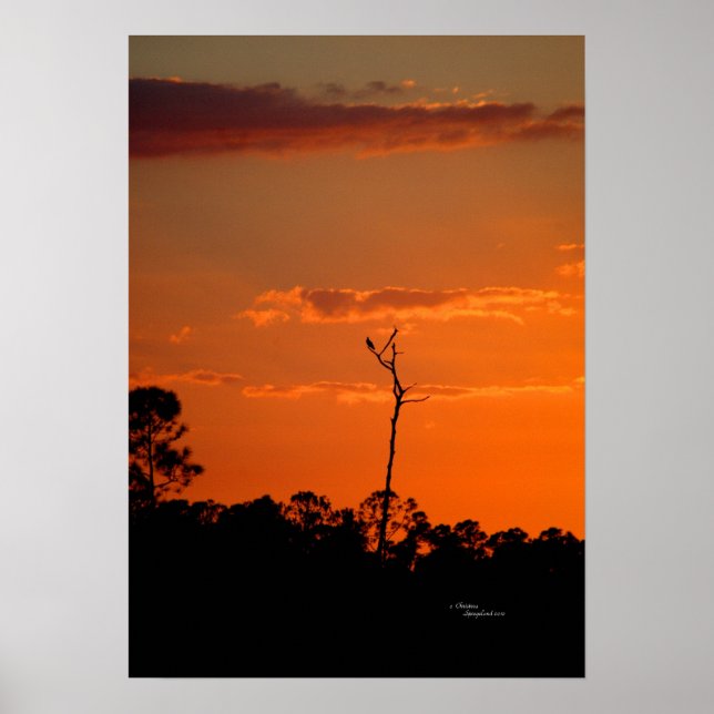Póster Poster de puesta de sol en el árbol muerto (Frente)