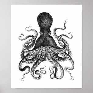 Póster Poster de pulpo de época