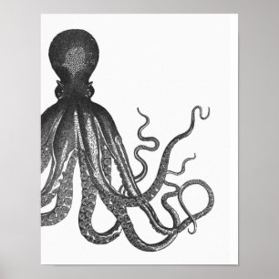 Póster Poster de pulpo moderno negro y blanco