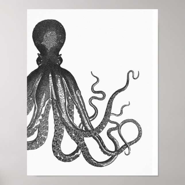 Póster Poster de pulpo moderno negro y blanco (Frente)
