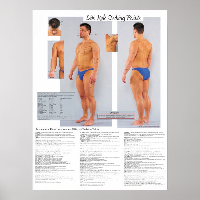 Póster Poster de puntos de huelga de muerte Dim Mak 18 X  (Frente)