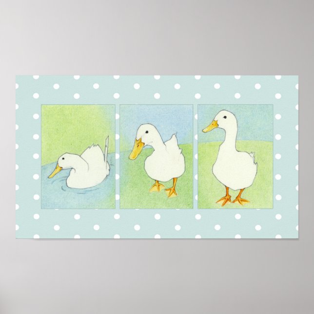 Póster Poster de puntos de los patos blancos (Frente)