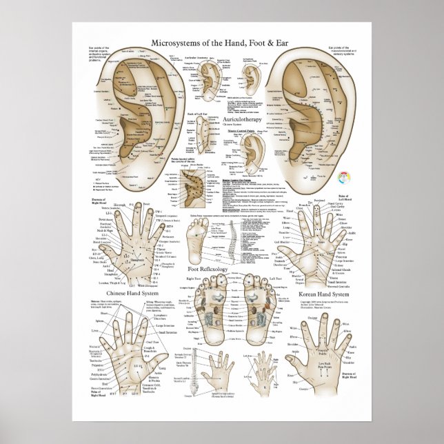 Póster Poster de puntos del microsistema de acupuntura (Frente)