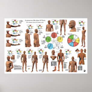 Póster Poster de puntos y patas del meridiano de acupuntu
