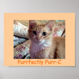 Póster Poster DE PURR-C PURRFECTAMENTE
