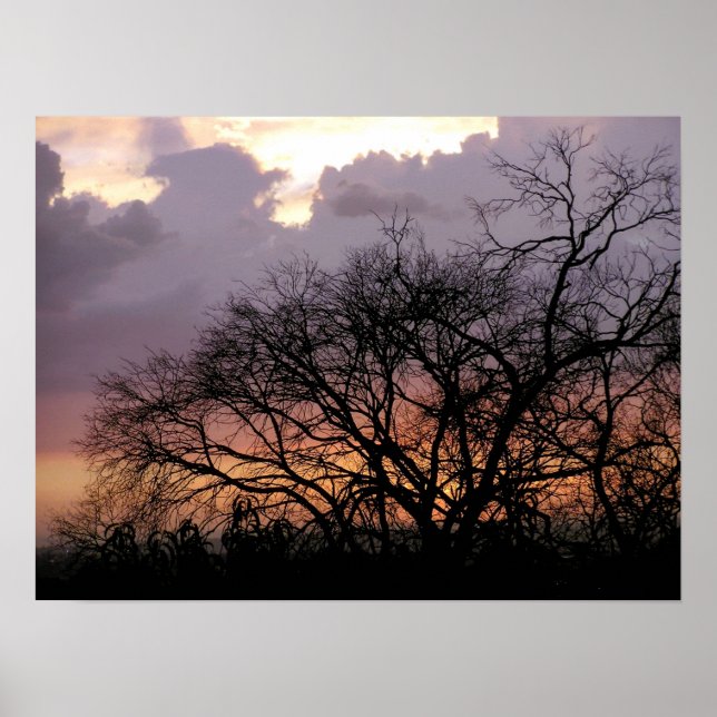 Póster Poster de ramas de Skyscape (Frente)