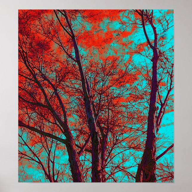 Póster Poster de ramas espirituales (Frente)