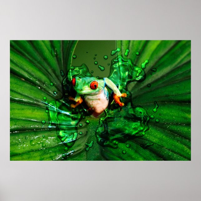 Póster Poster de rana 4 (Frente)
