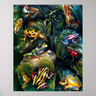 Póster Poster de ranas