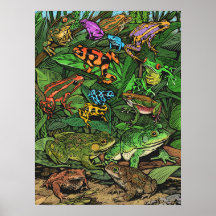 Poster de ranas