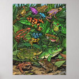 Póster Poster de ranas