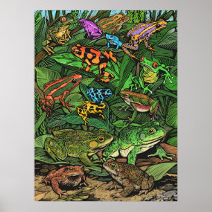 Póster Poster de ranas