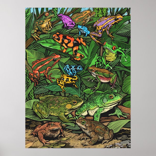 Póster Poster de ranas (Frente)