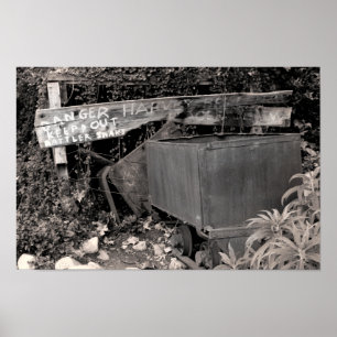 Póster Poster de Rattler Snaks