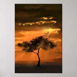 Póster Poster de rayos de sol de árbol