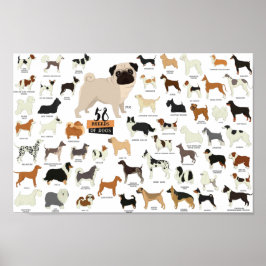 Póster poster De Razas De Perros