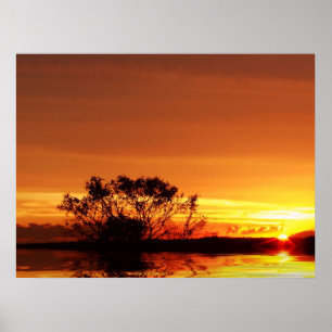 Póster poster de realismo solar