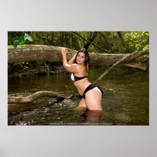 Póster Poster de Recaudación de Fondos en Refugio Animal