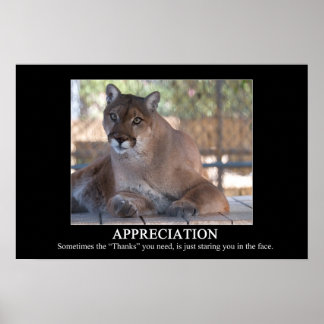 Póster Poster de reconocimiento
