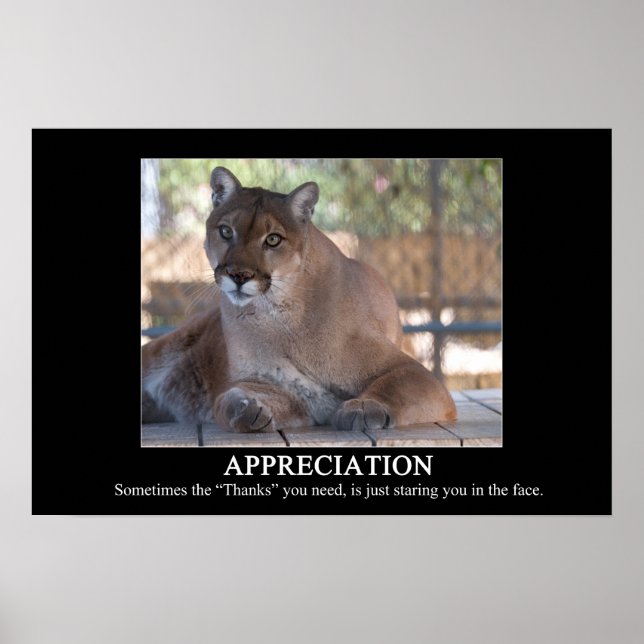 Póster Poster de reconocimiento (Frente)