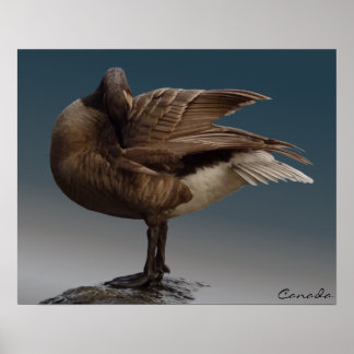 Póster Poster de recuerdo de Canadá Goose Poster