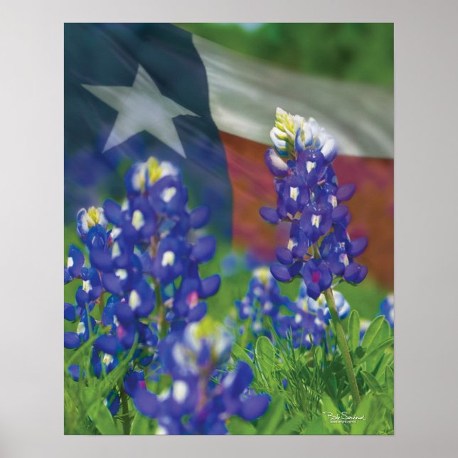 Póster Poster de redes de bandera azul de Texas (Frente)