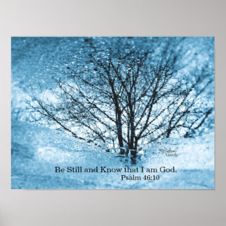 Póster Poster de reflexión de árbol