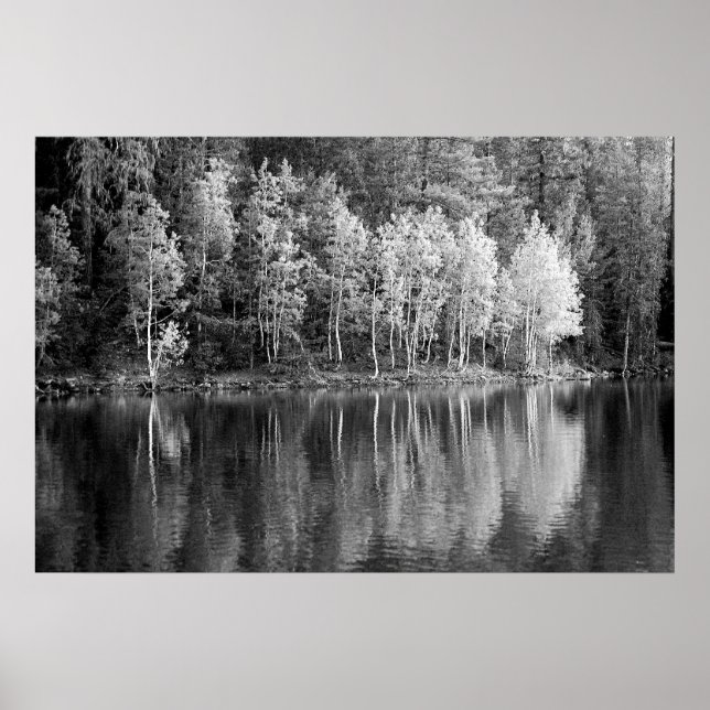 Póster Poster de Reflexiones (Frente)