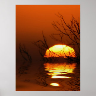 Póster Poster de Reflexiones de Amanecer