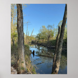 Póster Poster de Reflexiones de Paisaje Acuático Creek