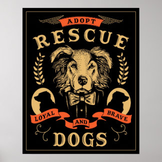 Póster Poster de rescate Amanda