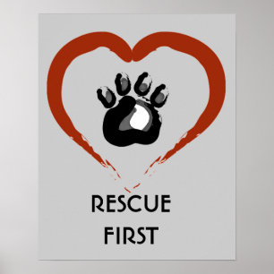 Póster Poster de Rescate Animal