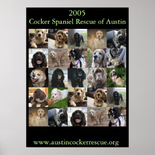 Póster poster de rescate de Cocker Spaniel 2005