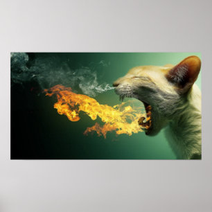 Póster Poster de respiración del fuego del gato