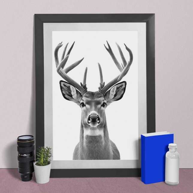 Póster Poster de retrato animal en el desierto de Mule De (Subido por el creador)
