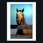 Póster Poster de retrato de caballo<br><div class="desc">Retrato de caballo - Cara de caballo / Cabeza - Mirada de caballo - Animal digital / Arte de caballo - Hígado Digital Watercolor Artwork Posters</div>