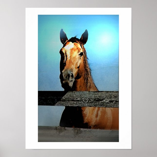 Póster Poster de retrato de caballo (Frente)