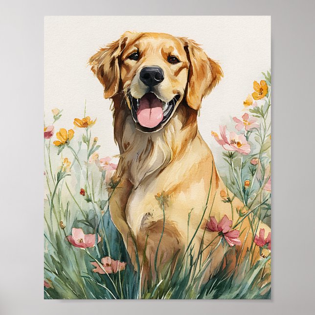 Póster Poster de retrato de Golden Retriever - Perro acua (Frente)