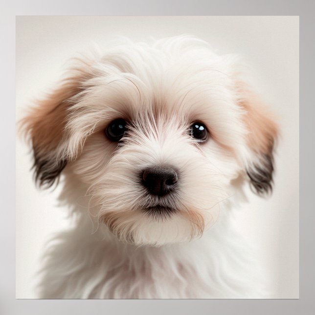 Póster Poster de retrato de perro con cachorro cutáneo de (Frente)