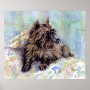 Póster Poster de retrato de perro de Cairn Terrier