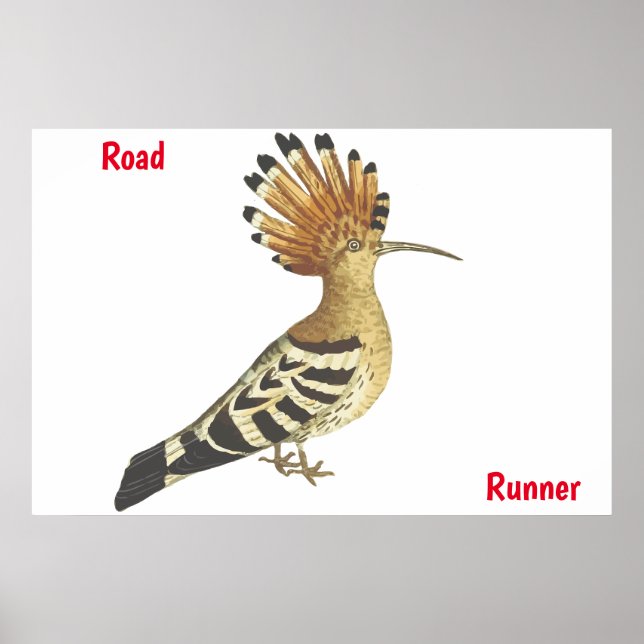 Póster poster de Road Runner (Frente)