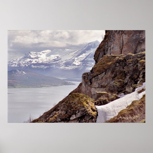 Póster Poster de Rock Ártico (Frente)