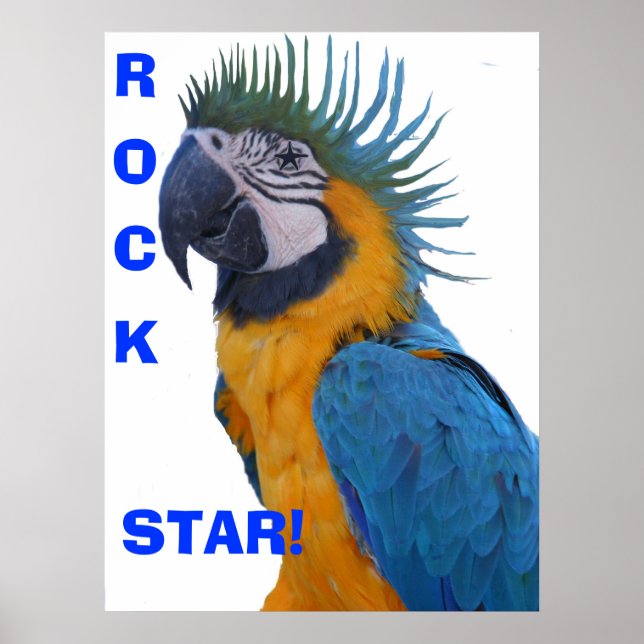 Póster Poster de Rock Star Macaw (Frente)