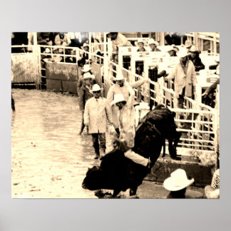 Póster Poster de Rodeo Bull Rider