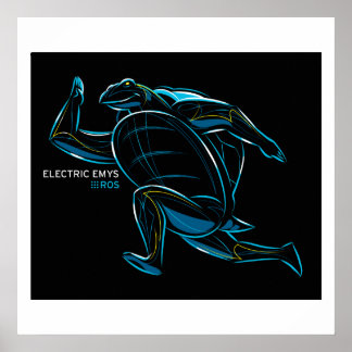 Póster POSTER de ROS Electric Emys