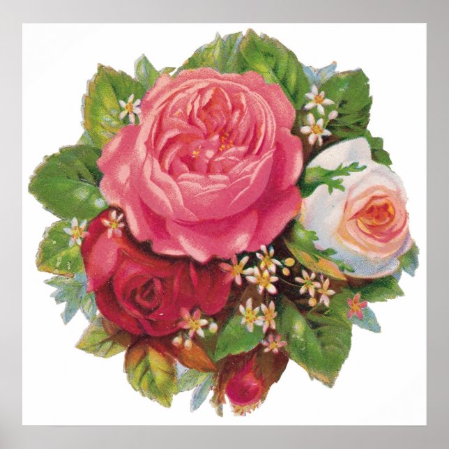 Póster Poster de Rosas de la Vintage (Frente)
