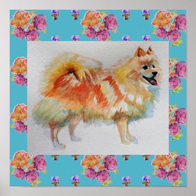 Póster Poster de Rosas de perro de Spitz Pomerania aleman (Frente)