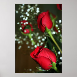 Póster Poster de rosas rojas