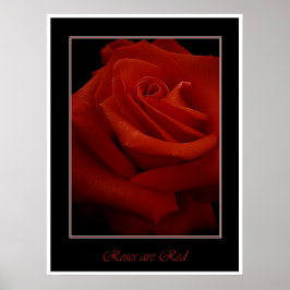 Póster poster de rosas rojas